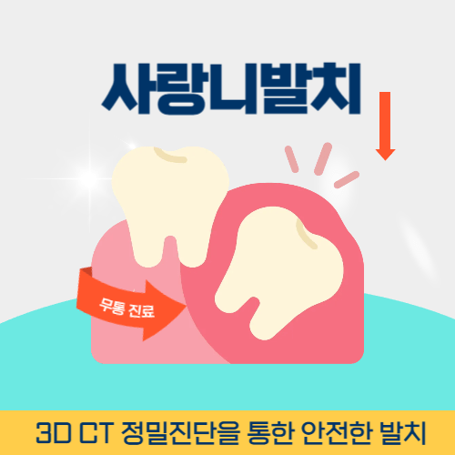 진주치과 진주시 치과 사랑니 발치